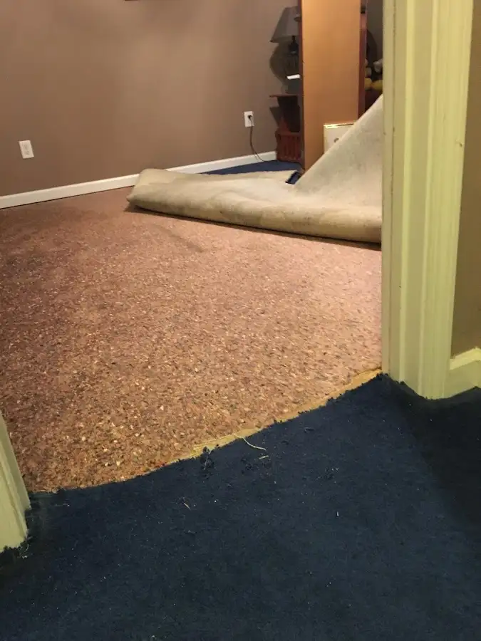 Carpet pad removal revealing water damage during Drying & Dehumidification in North Charleston