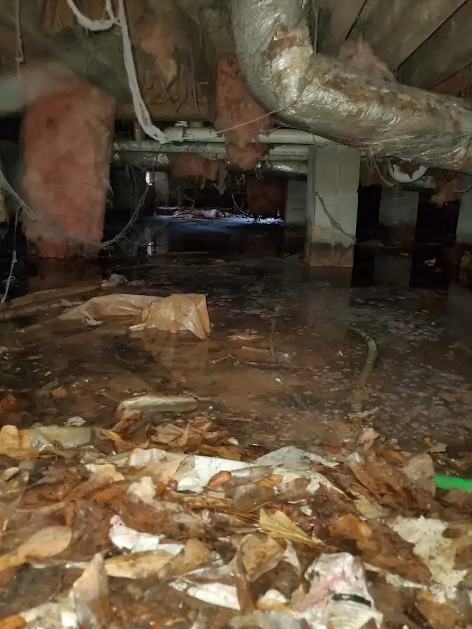 Crawl space flood assessment for Leak Detection & Repair in North Charleston